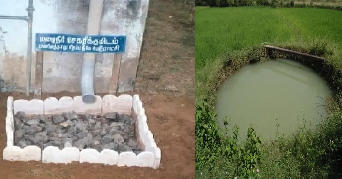 மழைநீர் சேகரிப்பு குறித்து சமூக ஆர்வலர் விழிப்புணர்வு ஏற்படுத்தும் நேர்காணல் படம்